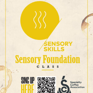 SCA Sensory Foundations