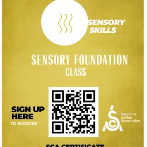 SCA Sensory Foundations