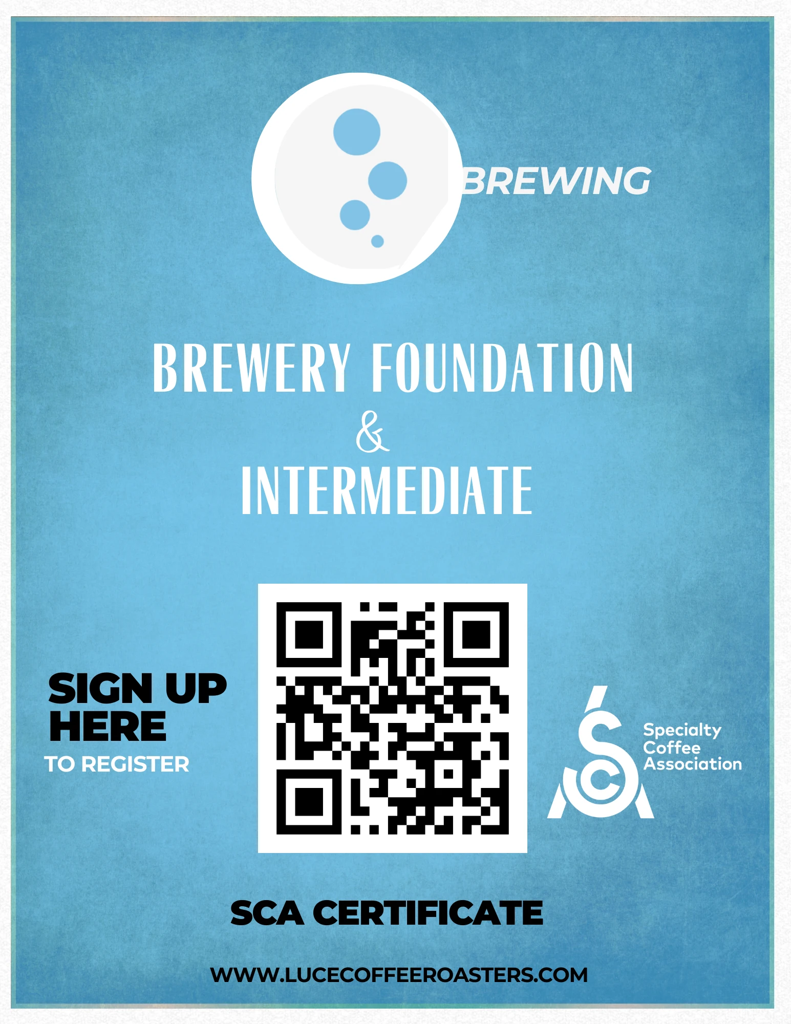 SCA Brewing Foundation & Intermediate
