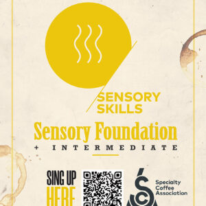 SCA Sensory Foundation + Intermediate