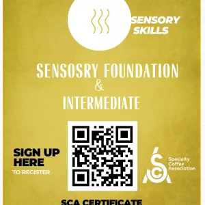 SCA Sensory Foundation & Intermediate