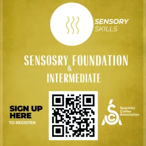 SCA Sensory Foundation & Intermediate