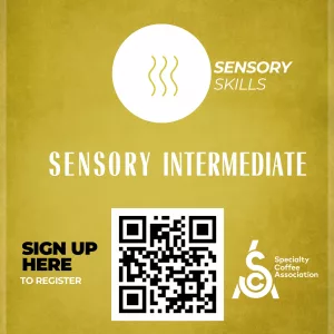 SCA Sensory Intermediate
