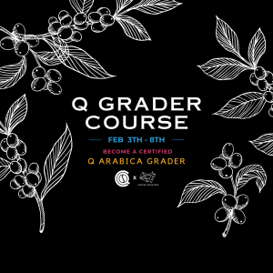 Q Grader Course