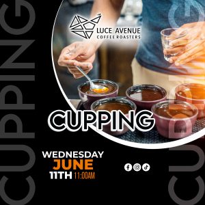 CUPPING JUNE 11th