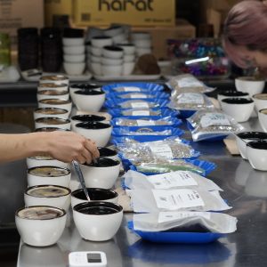 Cupping Coffee Classes